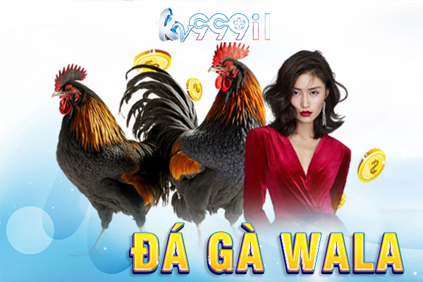 đá gà wala