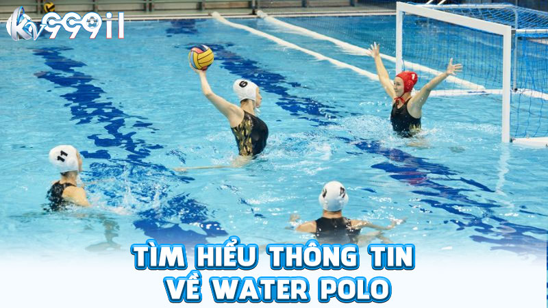 tìm hiểu thông tin về water polo